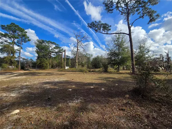 4610 N ELLEN PT, Crystal River, FL 34428