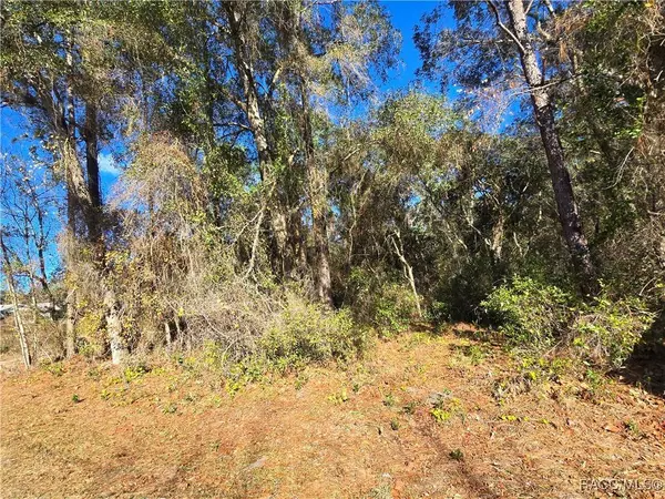 3257 E Kennedy ST, Inverness, FL 34453