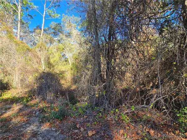 3257 E Kennedy ST, Inverness, FL 34453