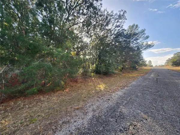 2176 W CONWAY DR, Citrus Springs, FL 34434