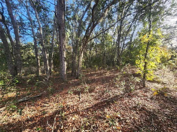 2176 W CONWAY DR, Citrus Springs, FL 34434