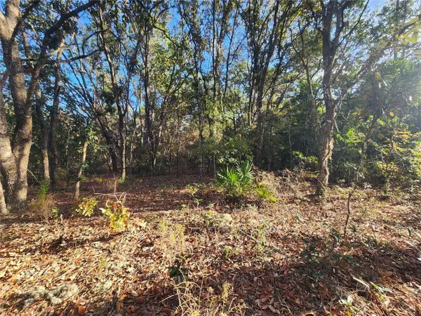 2176 W CONWAY DR, Citrus Springs, FL 34434