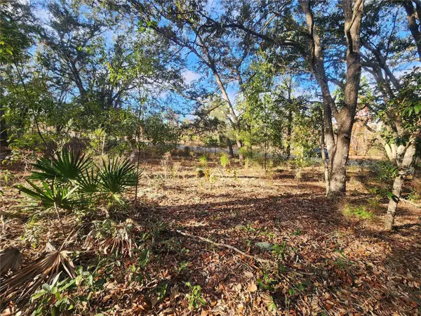 2176 W CONWAY DR, Citrus Springs, FL 34434