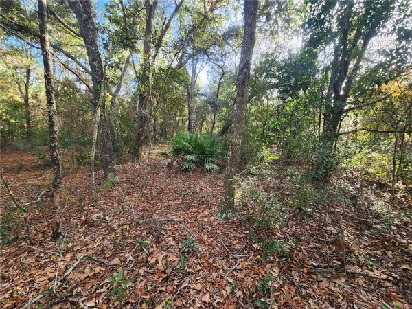 2176 W CONWAY DR, Citrus Springs, FL 34434