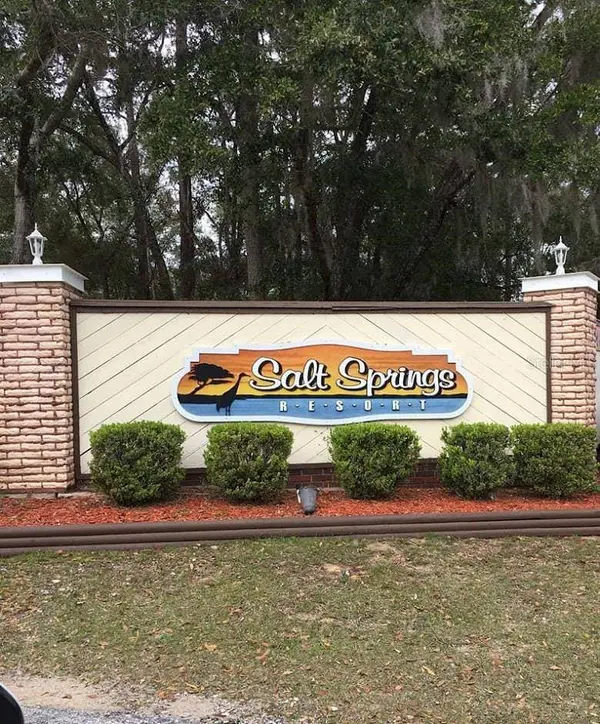 25160 140TH LOOP NE, Salt Springs, FL 32134