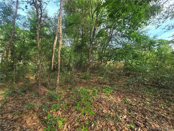 6659 E Grayson ST, Inverness, FL 34452