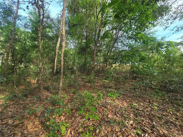 6659 E GRAYSON ST, Inverness, FL 34452