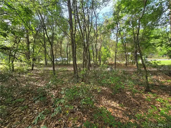 6659 E Grayson ST, Inverness, FL 34452