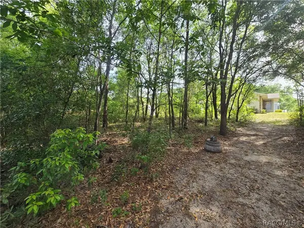 6659 E Grayson ST, Inverness, FL 34452