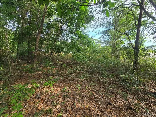 6659 E Grayson ST, Inverness, FL 34452