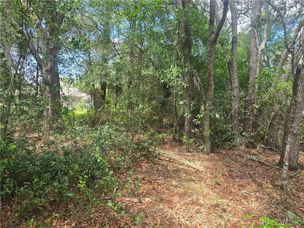 8467 N Empire AVE, Citrus Springs, FL 34433