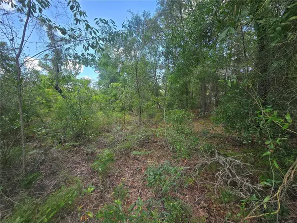 8365 N IBSEN DR, Citrus Springs, FL 34433