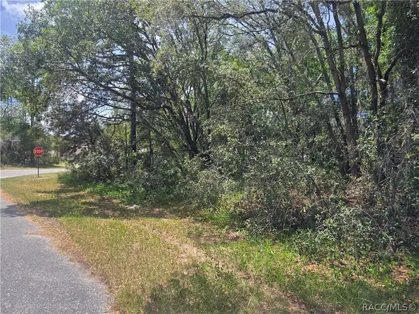 8467 N Empire AVE, Citrus Springs, FL 34433