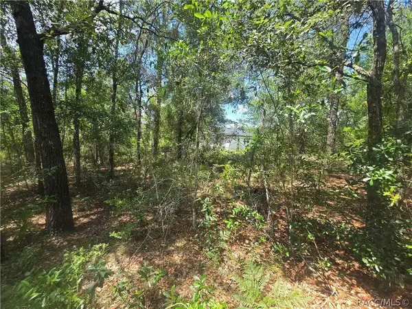 8365 N Ibsen DR, Citrus Springs, FL 34433