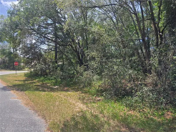 8467 N EMPIRE AVE, Citrus Springs, FL 34433