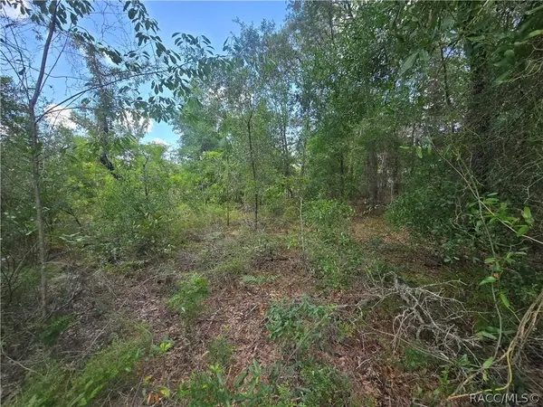 8365 N Ibsen DR, Citrus Springs, FL 34433