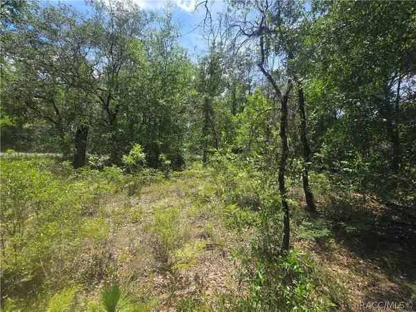 8365 N Ibsen DR, Citrus Springs, FL 34433
