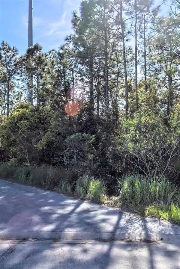 TBD INTERNATIONAL DR S, Orlando, FL 32821