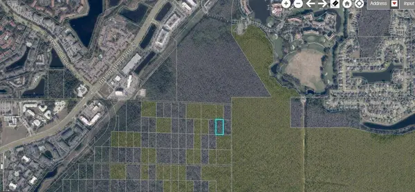 TBD INTERNATIONAL DR S, Orlando, FL 32821