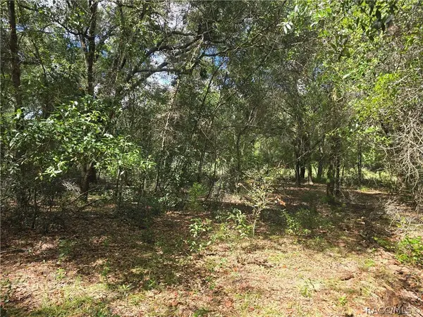 366 S Savary AVE, Inverness, FL 34453