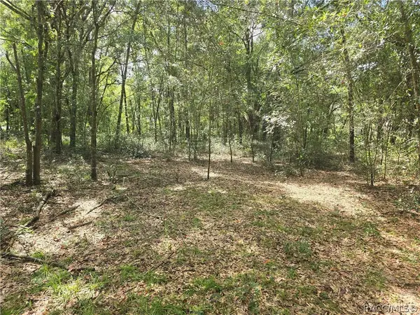 366 S Savary AVE, Inverness, FL 34453
