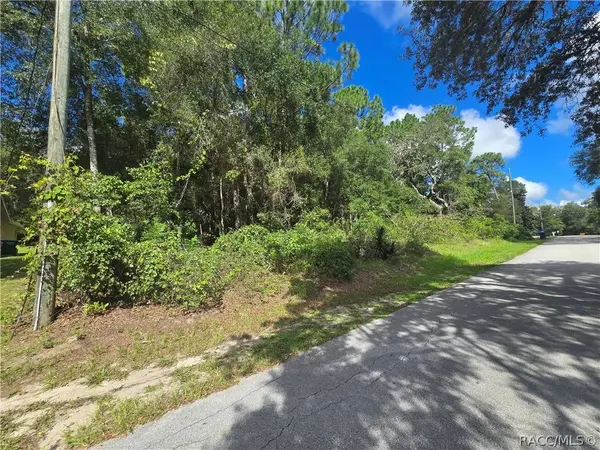 996 N Charles AVE, Inverness, FL 34453