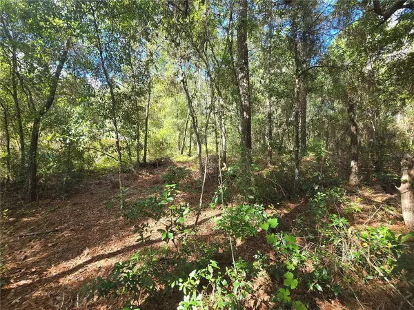 996 N CHARLES AVE, Inverness, FL 34453