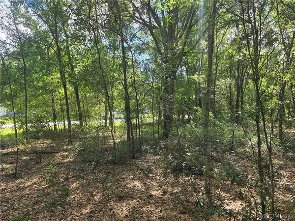 366 S Savary AVE, Inverness, FL 34453
