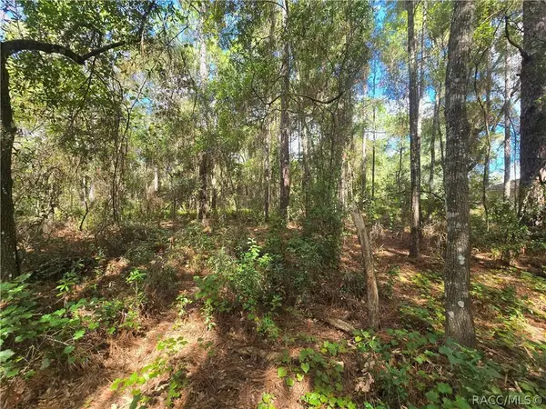 996 N Charles AVE, Inverness, FL 34453