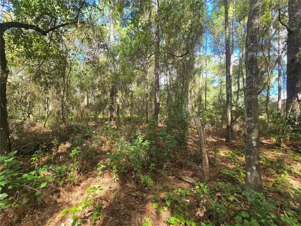 996 N CHARLES AVE, Inverness, FL 34453