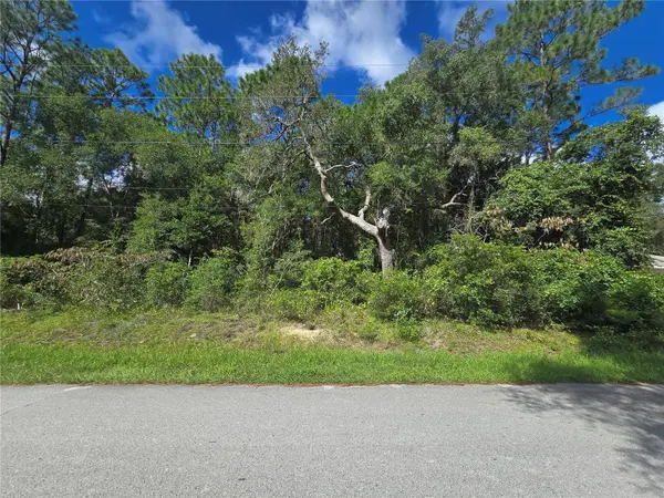 996 N CHARLES AVE, Inverness, FL 34453