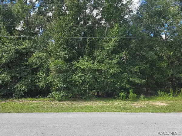 366 S Savary AVE, Inverness, FL 34453