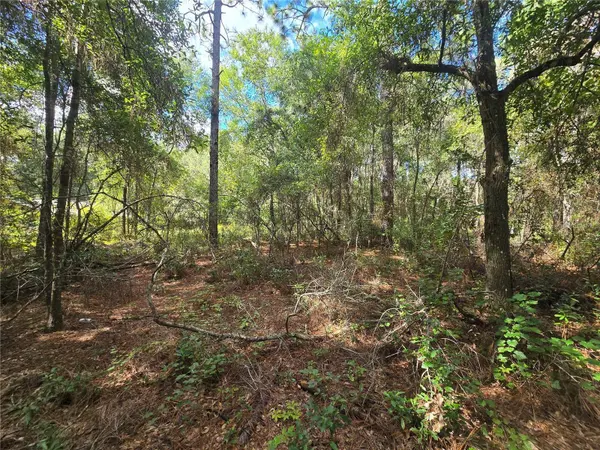 996 N CHARLES AVE, Inverness, FL 34453