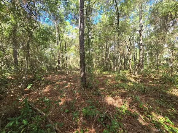 996 N Charles AVE, Inverness, FL 34453
