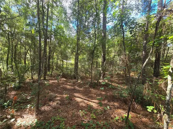 996 N Charles AVE, Inverness, FL 34453