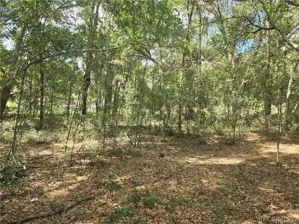 366 S Savary AVE, Inverness, FL 34453