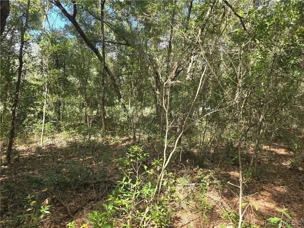 366 S Savary AVE, Inverness, FL 34453