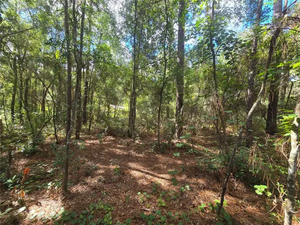 996 N CHARLES AVE, Inverness, FL 34453