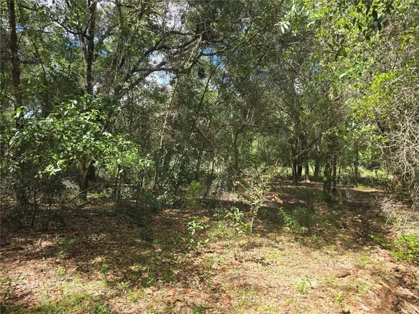 366 S SAVARY AVE, Inverness, FL 34453