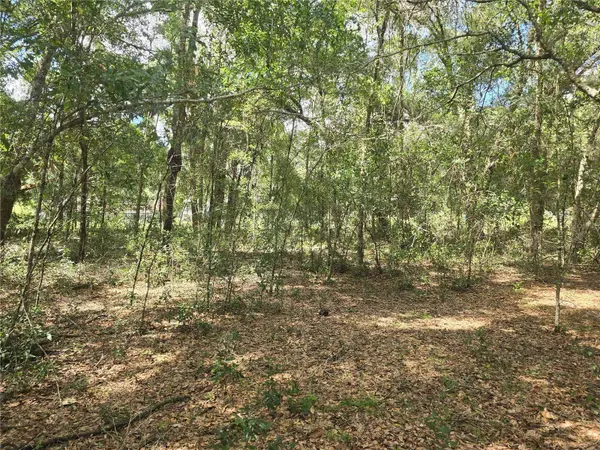 366 S SAVARY AVE, Inverness, FL 34453