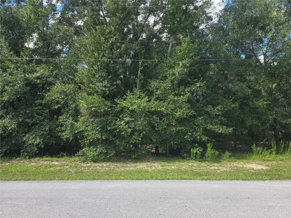 366 S SAVARY AVE, Inverness, FL 34453