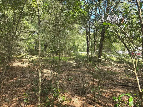 366 S SAVARY AVE, Inverness, FL 34453