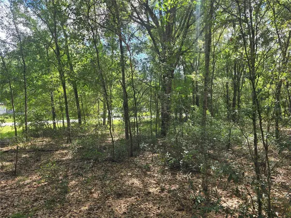 366 S SAVARY AVE, Inverness, FL 34453