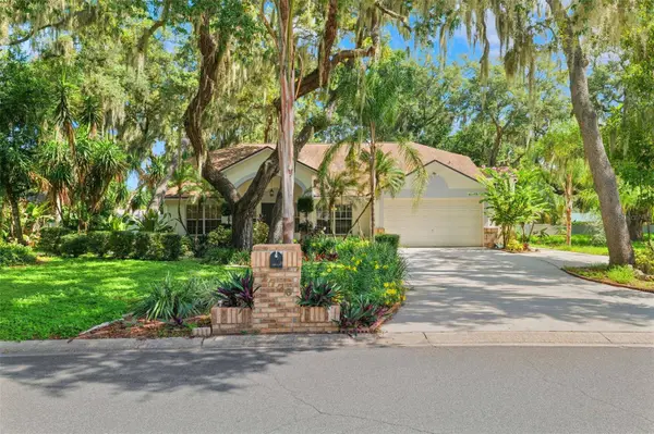 2770 BUCKHORN OAKS DR, Valrico, FL 33594