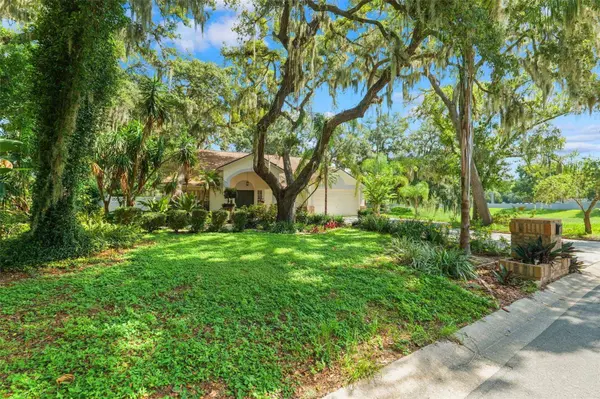 2770 BUCKHORN OAKS DR, Valrico, FL 33594