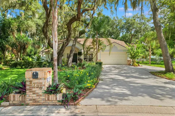 2770 BUCKHORN OAKS DR, Valrico, FL 33594
