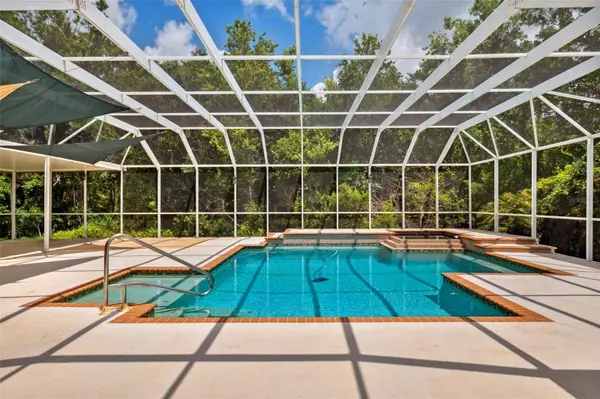 7925 CALINDRA CT, Trinity, FL 34655