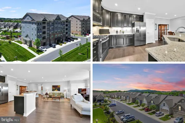 3411 ANGELICA WAY #303, Frederick, MD 21704