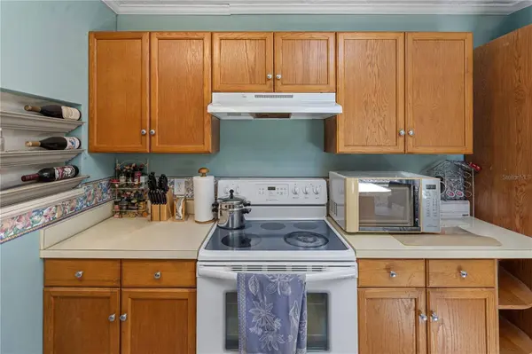 26015 SACKAMAXON DR, Sorrento, FL 32776