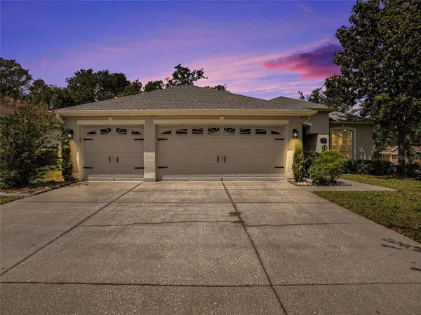 11106 BRIDGECREEK DR, Riverview, FL 33569